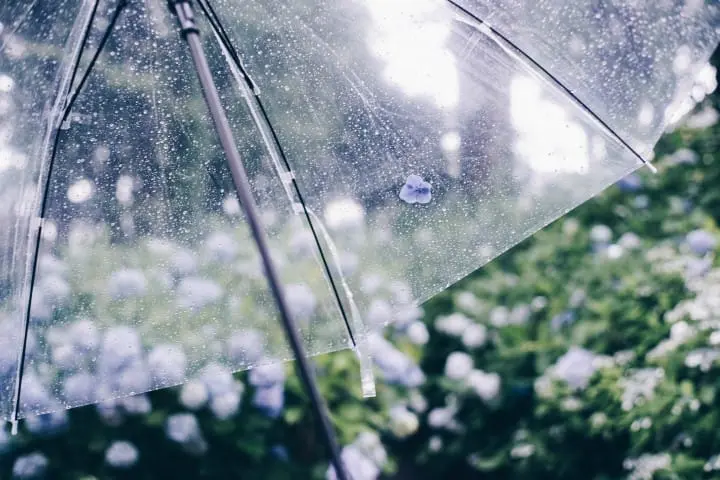 Japan's Seasons In Photos: June - The Beauty Of Rain