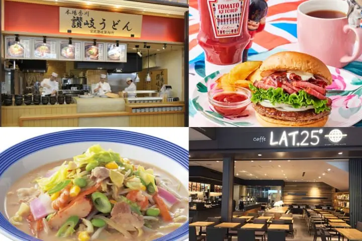 narita airport tokyo