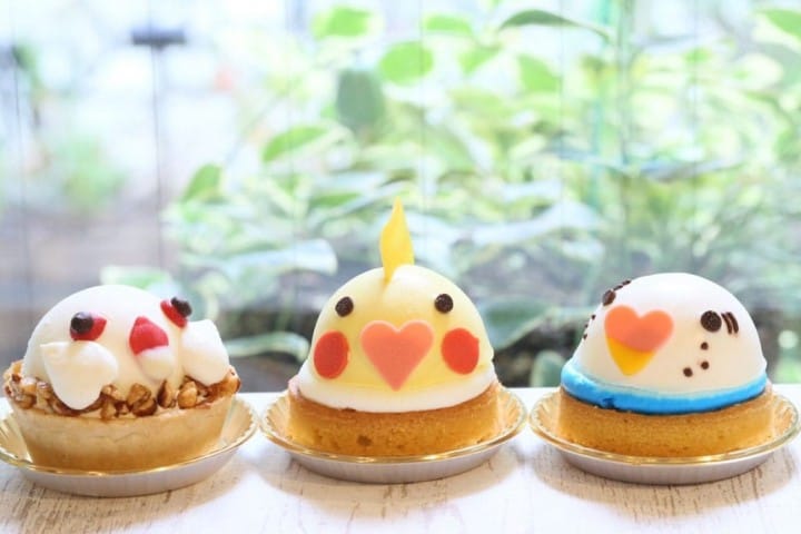 ことりカフェ