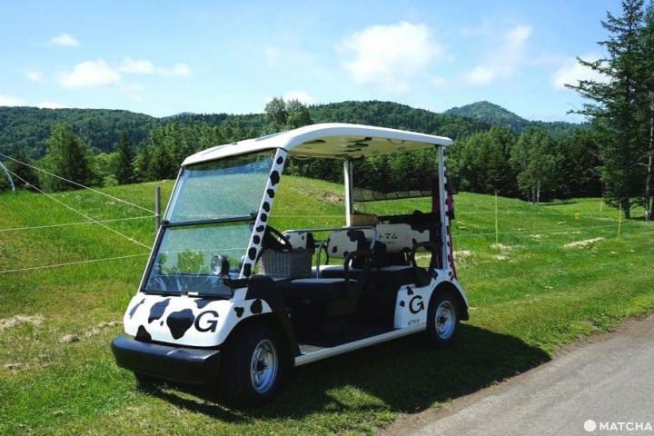 Hokkaido Daytrip - Sea Of Clouds And Postman Goats At Tomamu Resorts