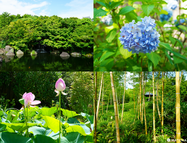 Himeji Day Trip - Travel To A Castle Town With Nature And Temples