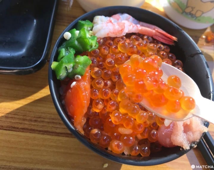 Hokkaido Daytrip - Sea Of Clouds And Postman Goats At Tomamu Resorts