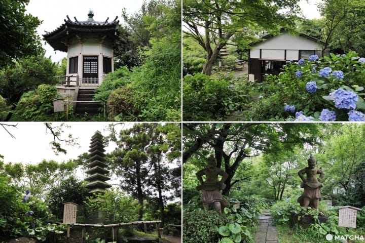 【鎌仓檑亭】鎌仓山中的荞麦面屋-庭园其一