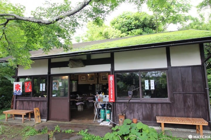 【鎌仓檑亭】鎌仓山中的荞麦面屋-露庵