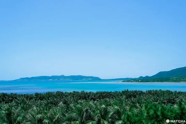 石垣八重山民俗村_石垣八重山村_八重山群岛