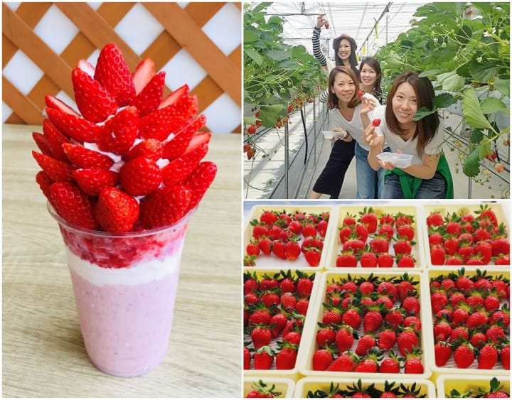 ichigo no ie, takumi no sato, gunma
