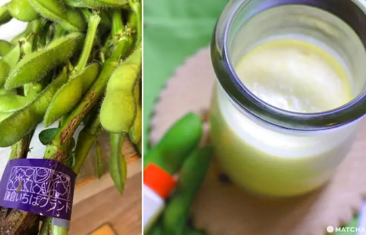 鎌倉 毛豆 布丁