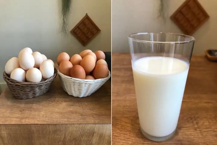 鎌倉 知名 布丁