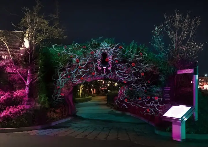 被詛咒的薔薇園