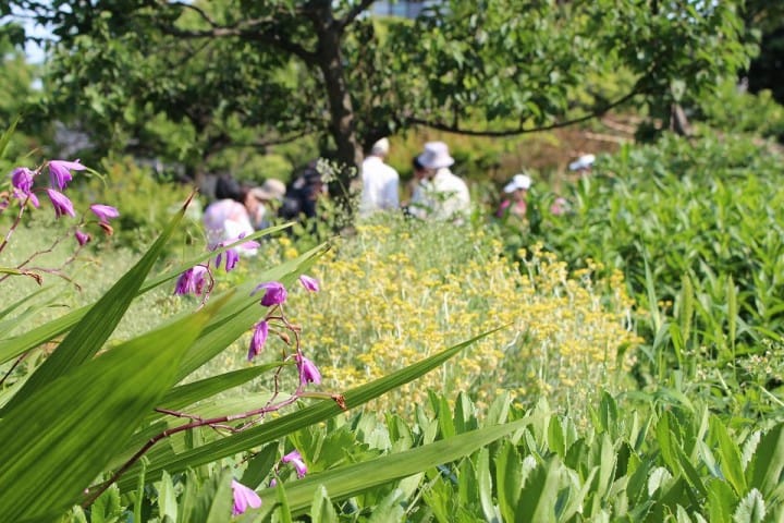 Mukojima Hyakkaen Gardens