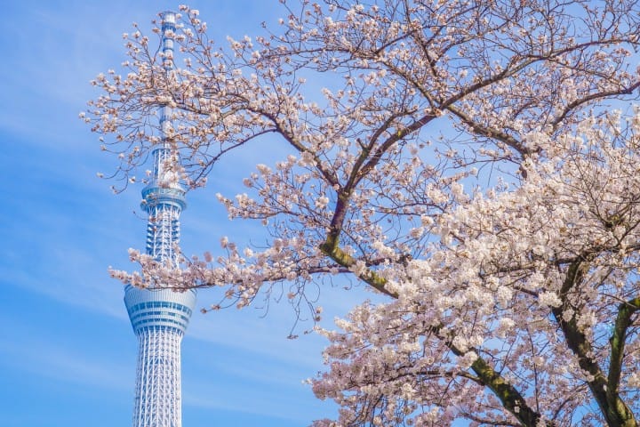 Tokyo Skytree