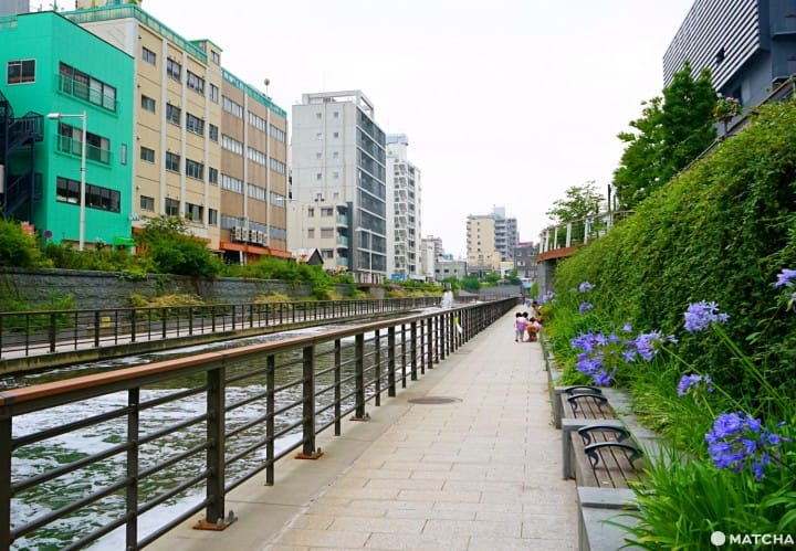 Oshinari Park