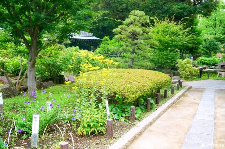 Yokoamicho Park