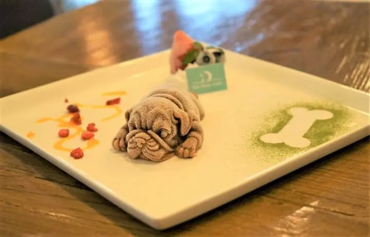 Ola Blue Cafe, Puppy Ice