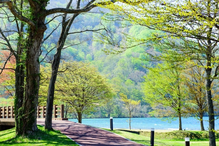 十和田湖遊歩道