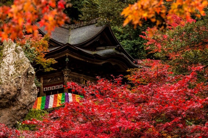 【石川县】那谷寺-枫红季节其一