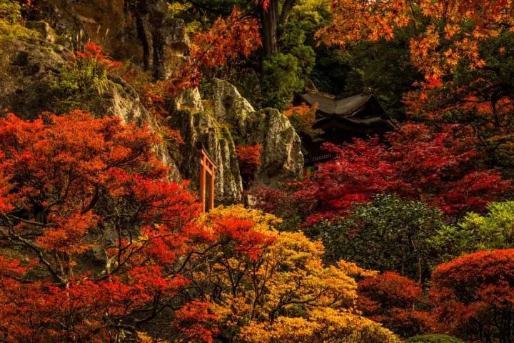 【石川县】那谷寺-枫红季节其二