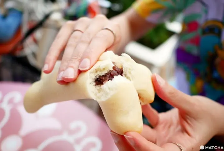 Vegan Tokyo Disneyland