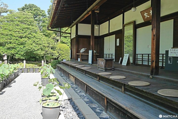 京都 吃糖也能洗滌身心 退藏院七分鐘含飴禪坐體驗 Matcha 日本線上旅遊觀光雜誌