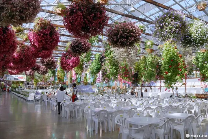 挂川花鸟园吃到饱