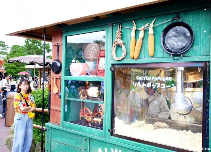 Tokyo Disneyland popcorn