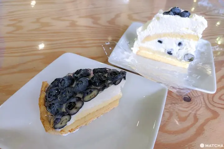 เที่ยวมินาคามิ 3 วัน 2 คืน เก็บผลไม้สดๆ ทำเครื่องประดับเก๋ๆ ปิดท้ายด้วยล่องเรือไปตามสายน้ำใส (Minakami, Gunma)