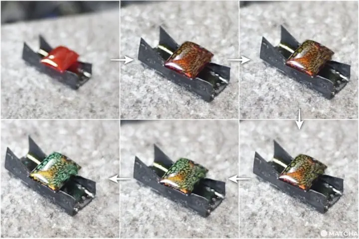 เที่ยวมินาคามิ 3 วัน 2 คืน เก็บผลไม้สดๆ ทำเครื่องประดับเก๋ๆ ปิดท้ายด้วยล่องเรือไปตามสายน้ำใส (Minakami, Gunma)