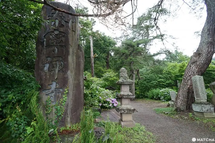 เที่ยวมินาคามิ 3 วัน 2 คืน เก็บผลไม้สดๆ ทำเครื่องประดับเก๋ๆ ปิดท้ายด้วยล่องเรือไปตามสายน้ำใส (Minakami, Gunma)