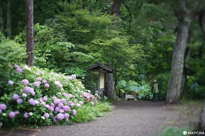 เที่ยวมินาคามิ 3 วัน 2 คืน เก็บผลไม้สดๆ ทำเครื่องประดับเก๋ๆ ปิดท้ายด้วยล่องเรือไปตามสายน้ำใส (Minakami, Gunma)