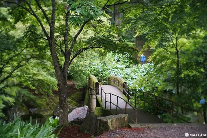 เที่ยวมินาคามิ 3 วัน 2 คืน เก็บผลไม้สดๆ ทำเครื่องประดับเก๋ๆ ปิดท้ายด้วยล่องเรือไปตามสายน้ำใส (Minakami, Gunma)