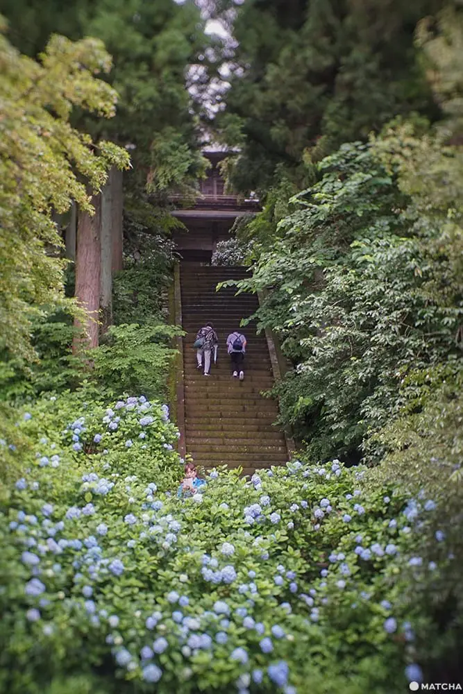 เที่ยวมินาคามิ 3 วัน 2 คืน เก็บผลไม้สดๆ ทำเครื่องประดับเก๋ๆ ปิดท้ายด้วยล่องเรือไปตามสายน้ำใส (Minakami, Gunma)