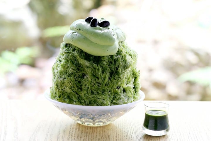 【宇治】來一趟抹茶的故鄉!宇治觀光景點、美食、交通懶人包
