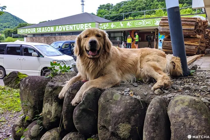 เที่ยวมินาคามิ 3 วัน 2 คืน เก็บผลไม้สดๆ ทำเครื่องประดับเก๋ๆ พักโรงแรมออนเซ็น ปิดท้ายด้วยล่องเรือไปตามสายน้ำใส (Minakami, Gunma)