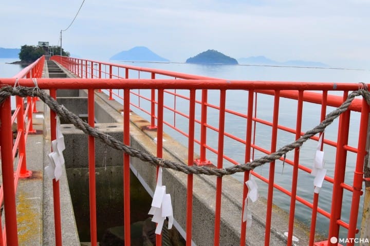 津嶋神社