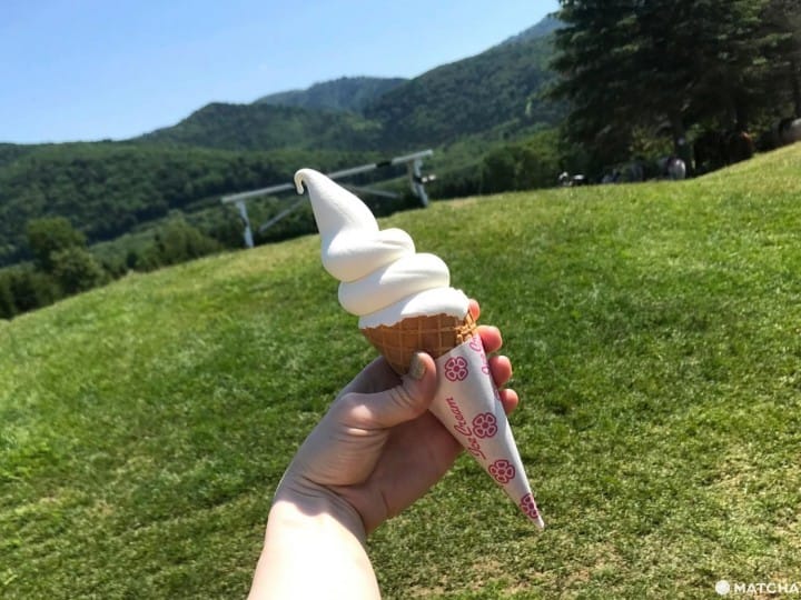홋카이도에서 운해를 바라보자! '호시노 리조트 토마무'에서 보내는 즐거운 하루