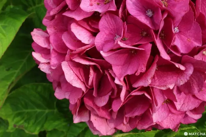 【宮城県】アート・食・音楽の総合芸術祭!Reborn-Art Festival 2019の見所5選