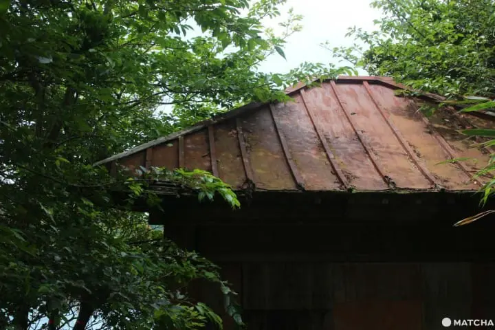 【宮城県】アート・食・音楽の総合芸術祭!Reborn-Art Festival 2019の見所5選