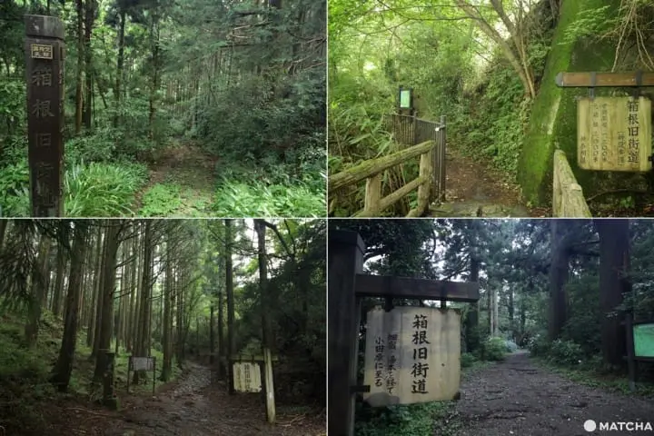 【神奈川縣】箱根舊街道-箱根舊街道