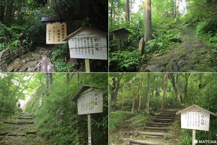【神奈川縣】箱根舊街道-險峻的坡道