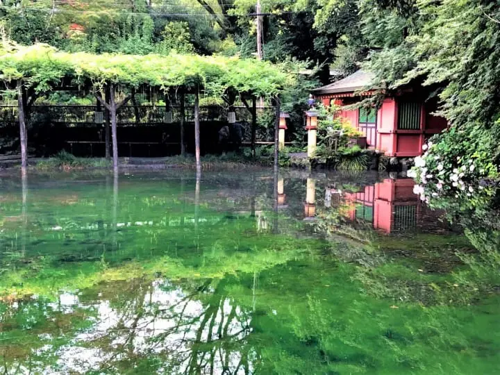 Japan, Off The Beaten Path - Escaping The Heat At Shiraito Falls