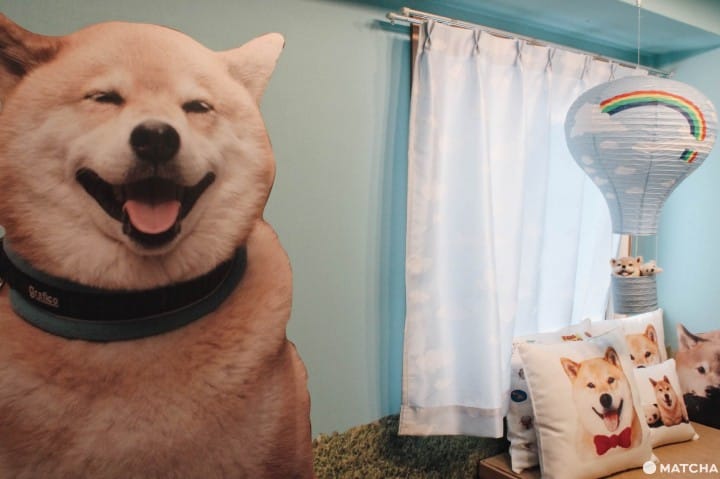 柴犬MARU酱的游戏部屋