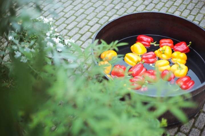 Japan's Seasons In Photos 4: July - Say Hello To Summer
