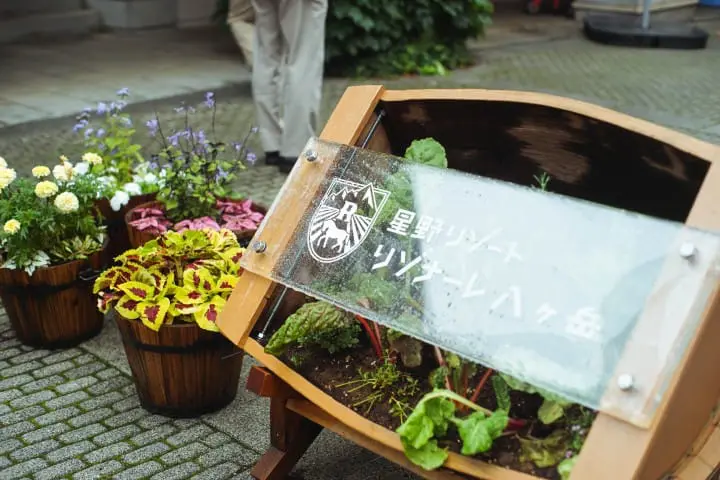 Japan's Seasons In Photos 4: July - Say Hello To Summer