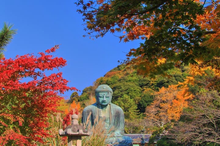 Giant Buddha Kotokuin