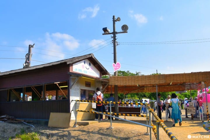 津嶋神社
