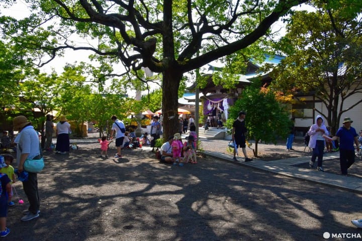 津嶋神社