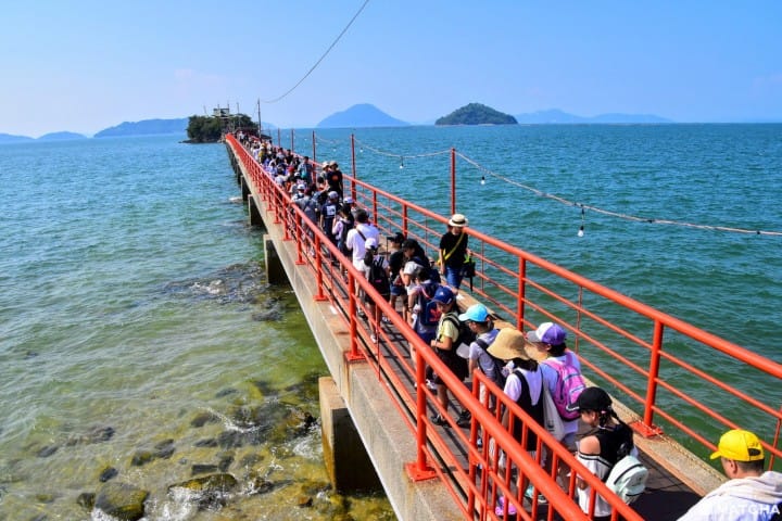 津嶋神社