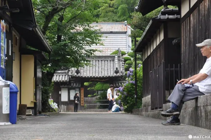 【大阪】大阪近郊的紫陽花世外桃源-久安寺