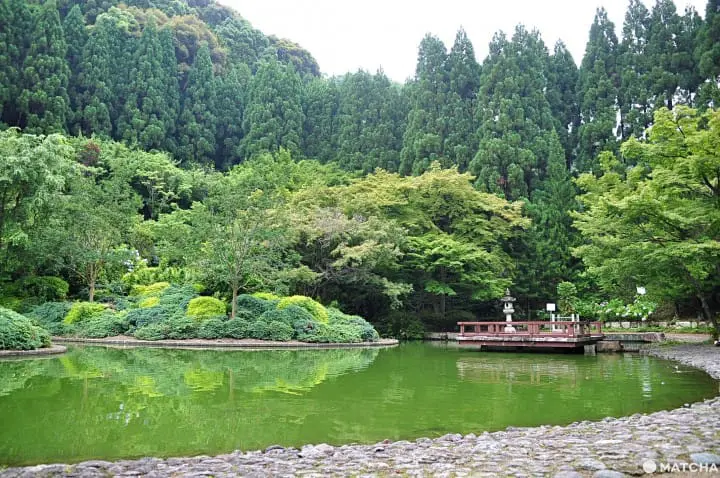 【大阪】大阪近郊的紫陽花世外桃源-久安寺