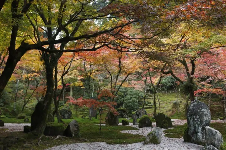 太宰府天滿宮_光明禪寺